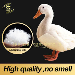 Title: 90% White Duck Feather Images: Stylish and Functional