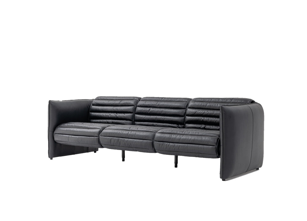 Title: The All-Friendly Leather Sofa