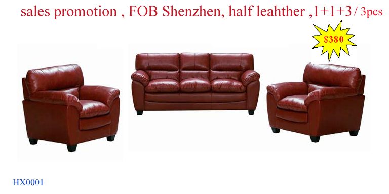 Title: The Pros and Cons of Leather Sofa