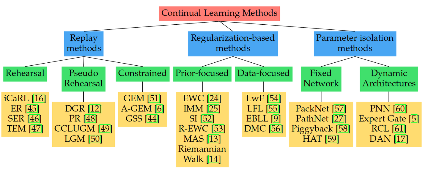 Title: The Dermal Web Layer: A Unique and Complex Structure