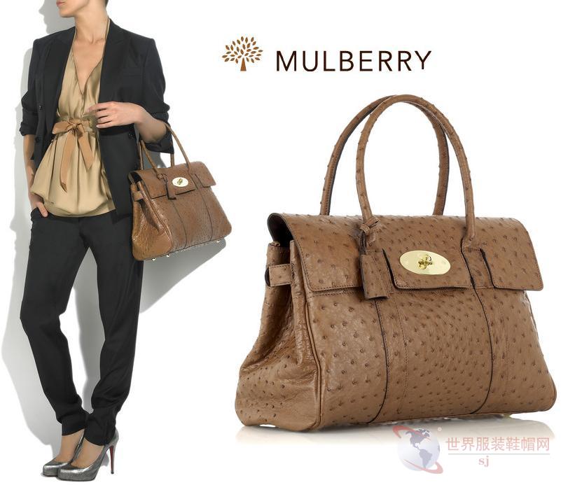 Title: What is Mulberry Silk?