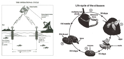 Title: The Silk Bedding Cleaning Guide