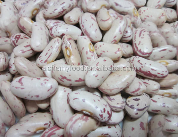 The Unique Charm of Silk Beans