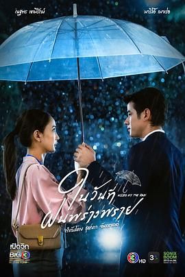 Title: The Complete Collection of Golden Silk and Rain TV Series