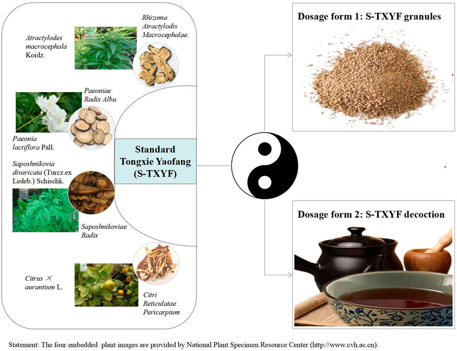 Title: The Fourfold Silk of Xiangyi Herbs