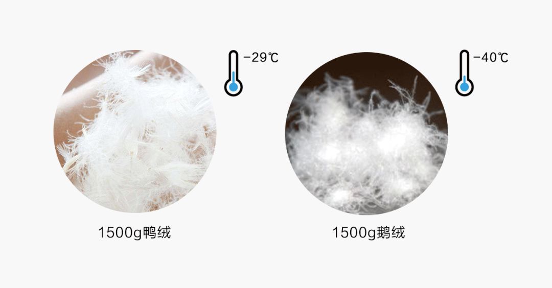 羽绒被中的羽绒，品质、特性及应用